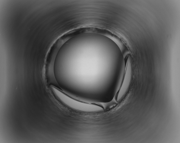 X0000091900880200709261656