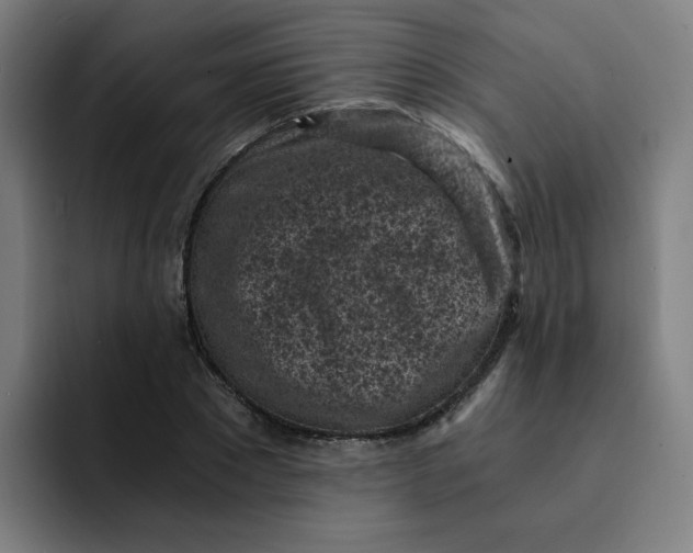 X0000091900881200709261656