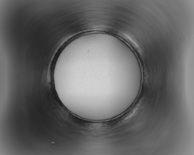 X0000091900883200709261656