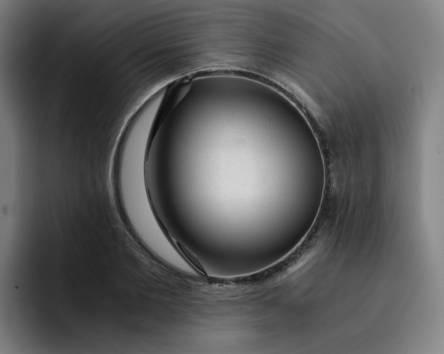 X0000091900885200709261656