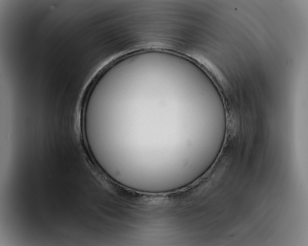 X0000091900886200709261656