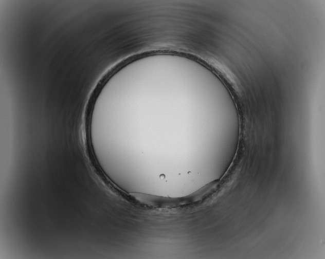 X0000091900888200709261656