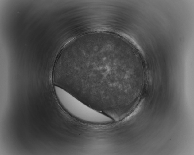 X0000091900889200709261656