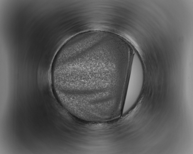 X0000091900891200709261656