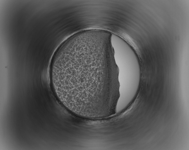 X0000091900892200709261655