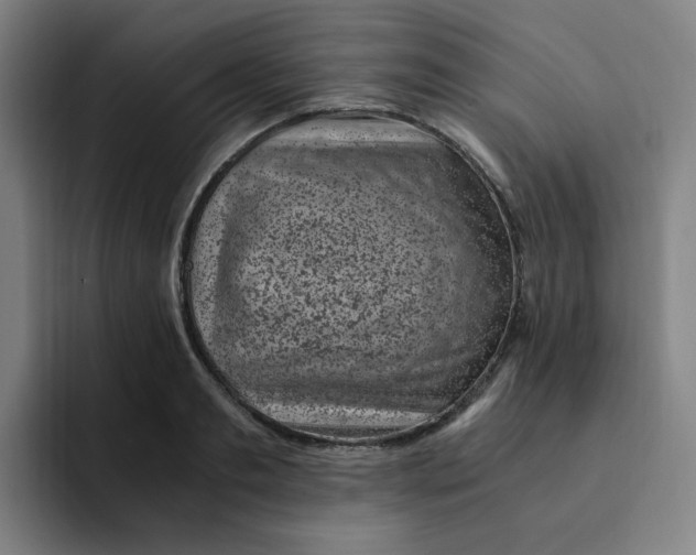 X0000091900893200709261655