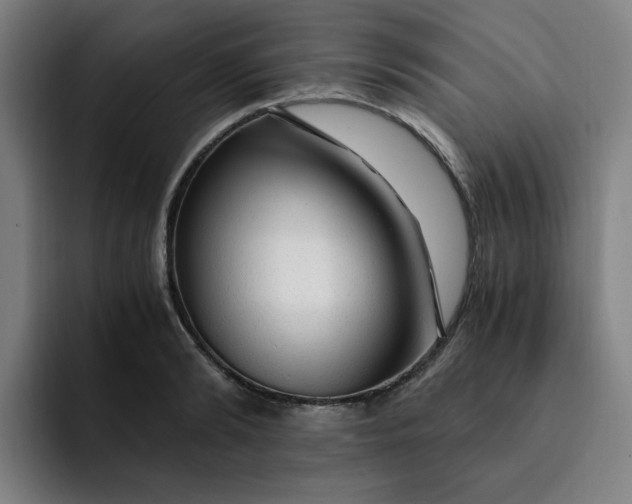 X0000091900894200709261655