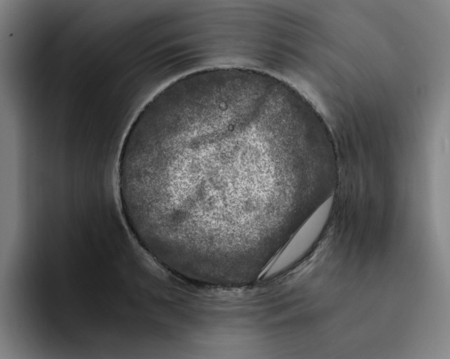 X0000091900895200709261655