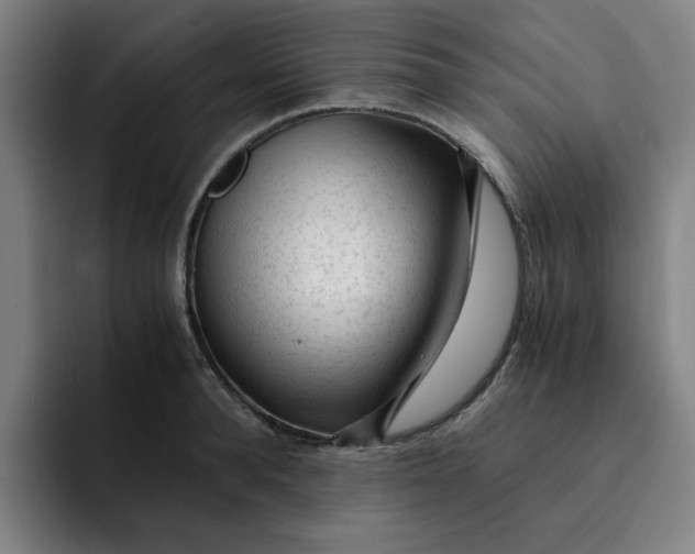 X0000091900896200709261655