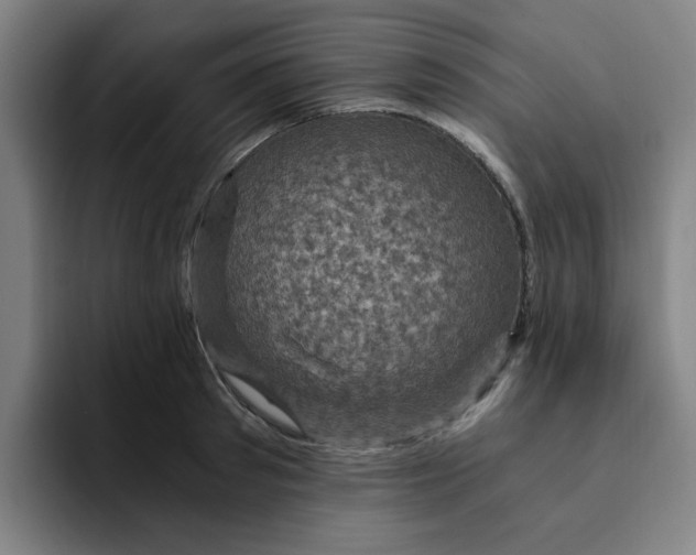 X0000091900897200709261655