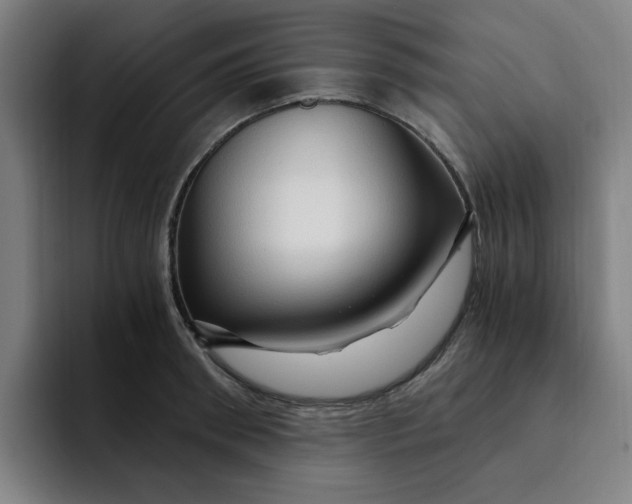 X0000091900898200709261655