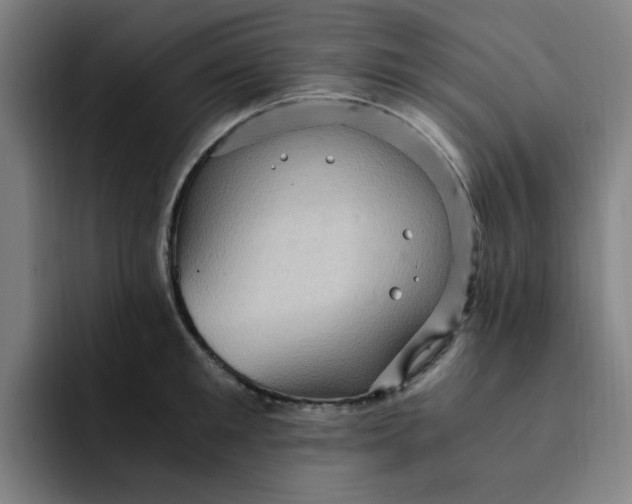 X0000091900901200709261655