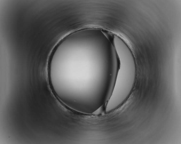 X0000091900902200709261655