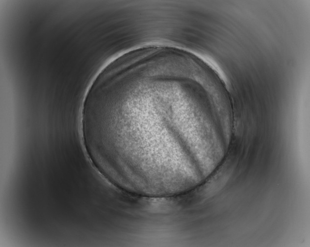 X0000091900903200709261655