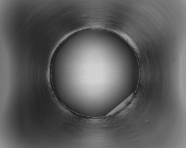 X0000091900904200709261655