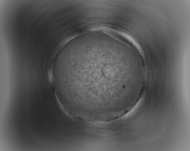 X0000091900905200709261655