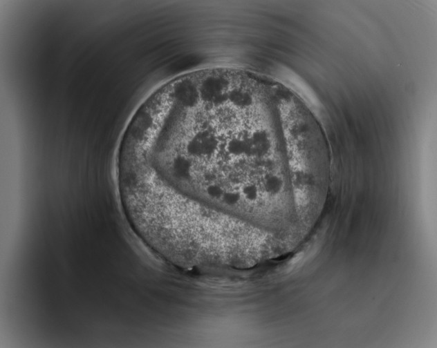 X0000091900907200709261655