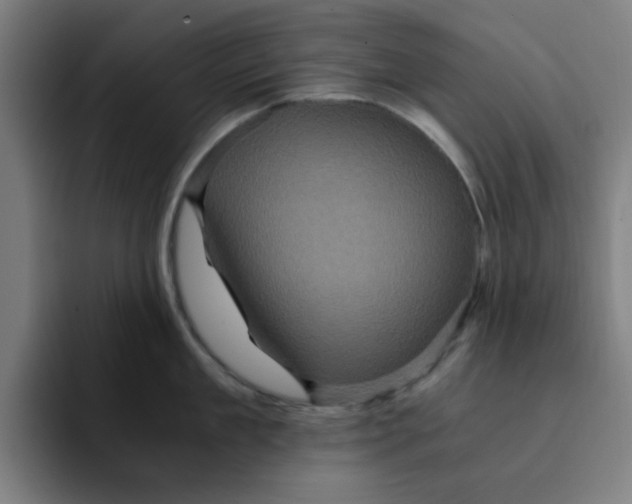 X0000091900909200709261655