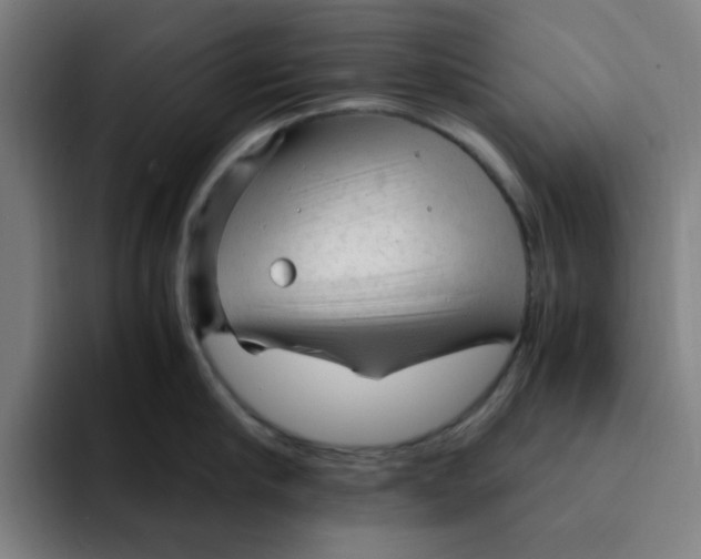 X0000091900910200709261655