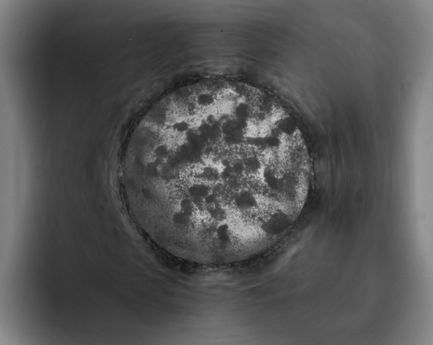 X0000091900913200709261655