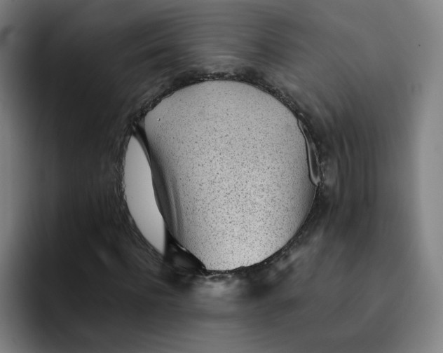 X0000091900916200709261655