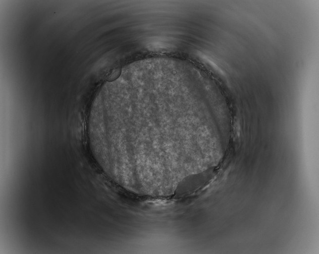 X0000091900917200709261655