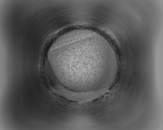 X0000091900920200709261655