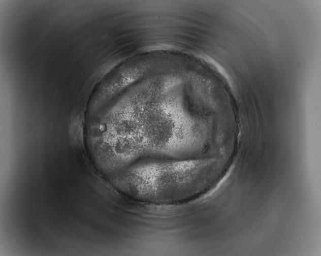 X0000091900921200709261655