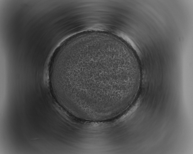 X0000091900923200709261655