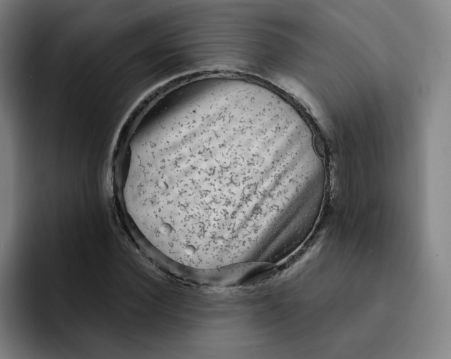 X0000091900924200709261655