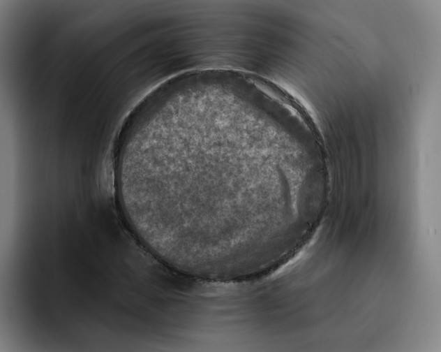 X0000091900925200709261655