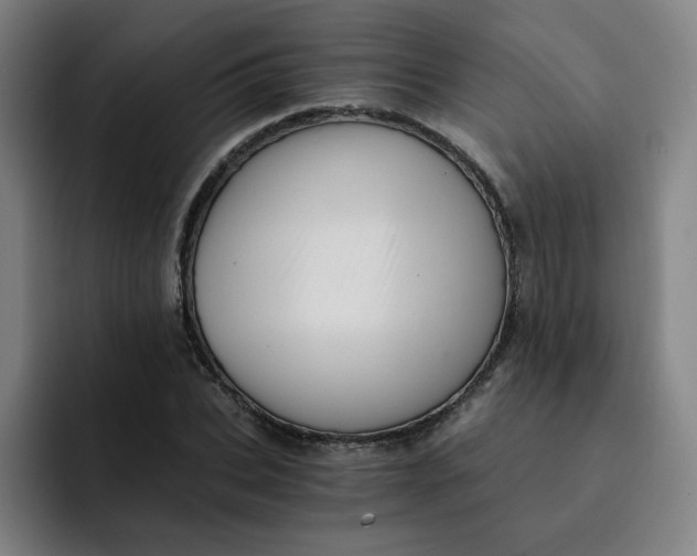 X0000091900927200709261655