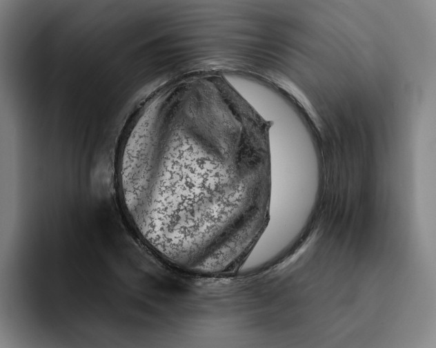 X0000091900930200709261655