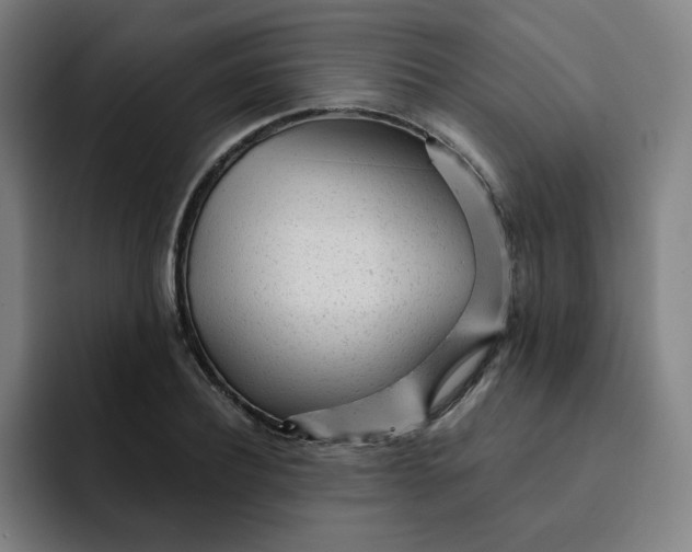 X0000091900932200709261655