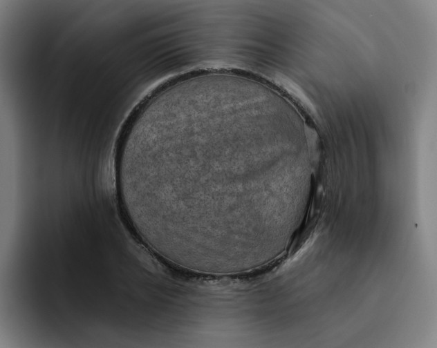 X0000091900934200709261655