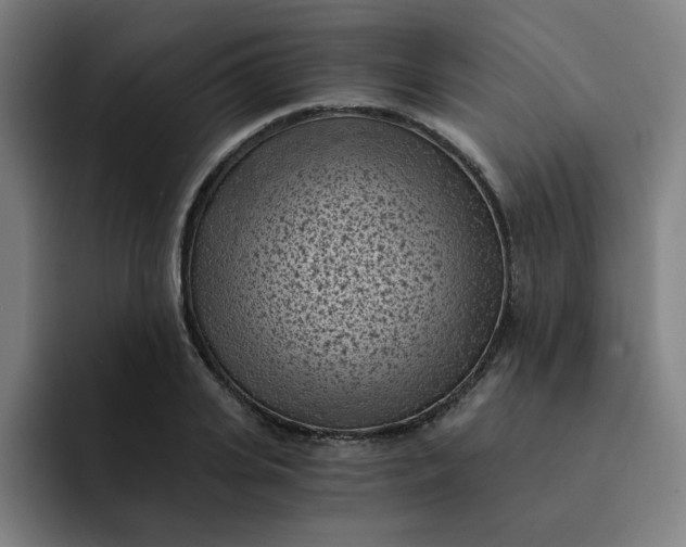 X0000091900935200709261655