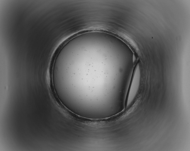 X0000091900936200709261655