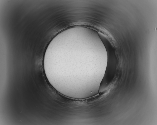 X0000091900937200709261655