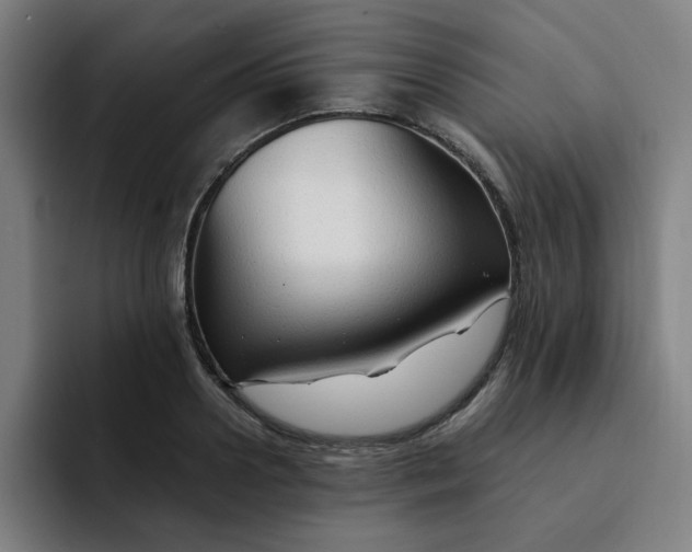 X0000091900938200709261655