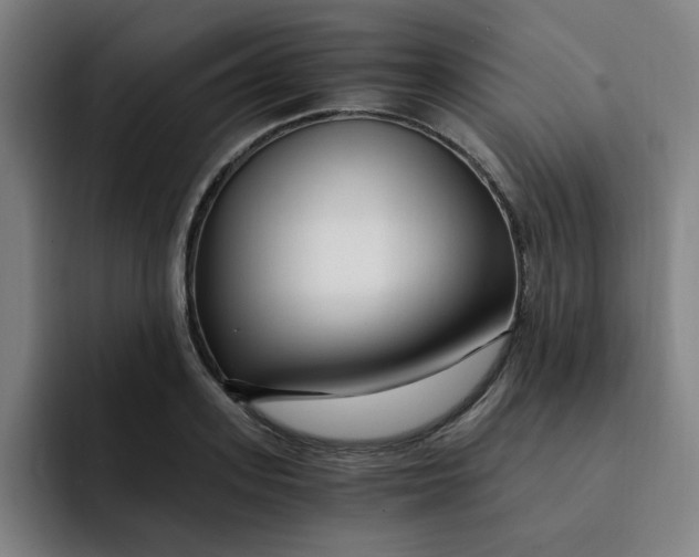 X0000091900939200709261655