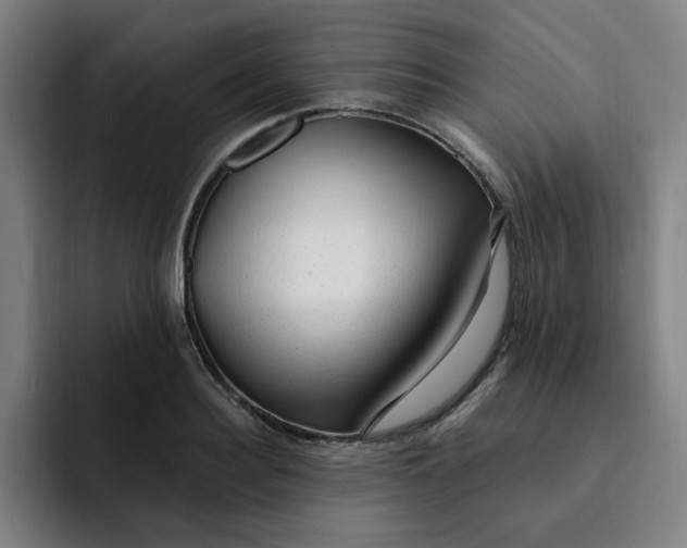 X0000091900940200709261655