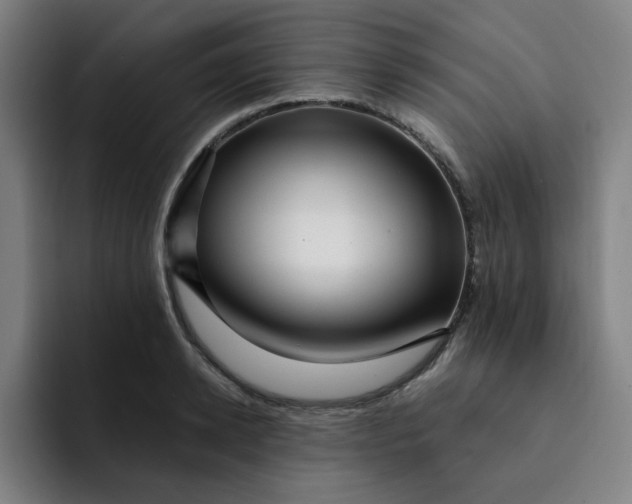 X0000091900942200709261655