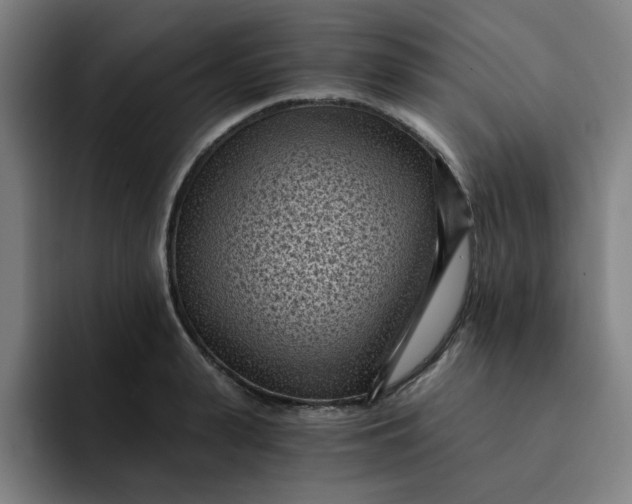 X0000091900943200709261655