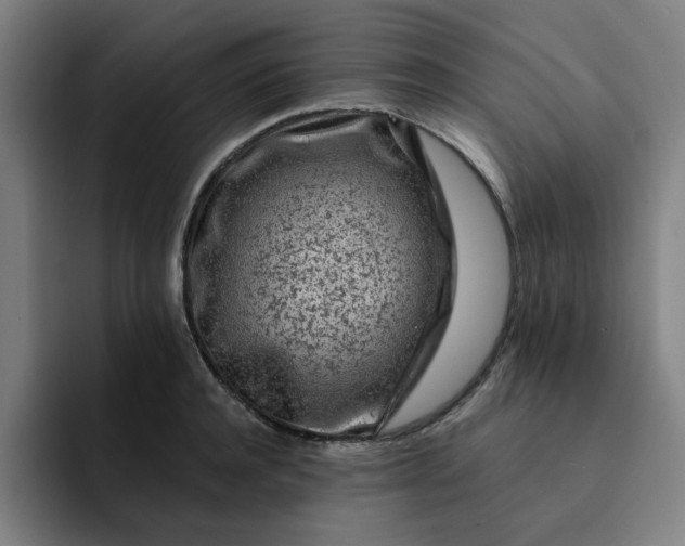 X0000091900944200709261655