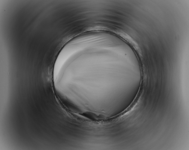 X0000091900945200709261655