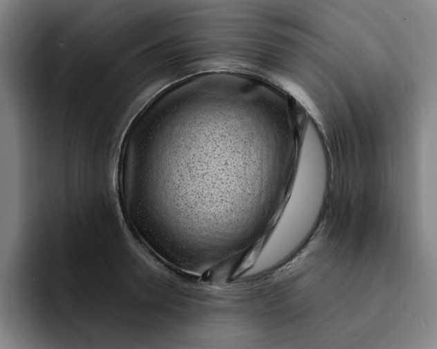 X0000091900946200709261655