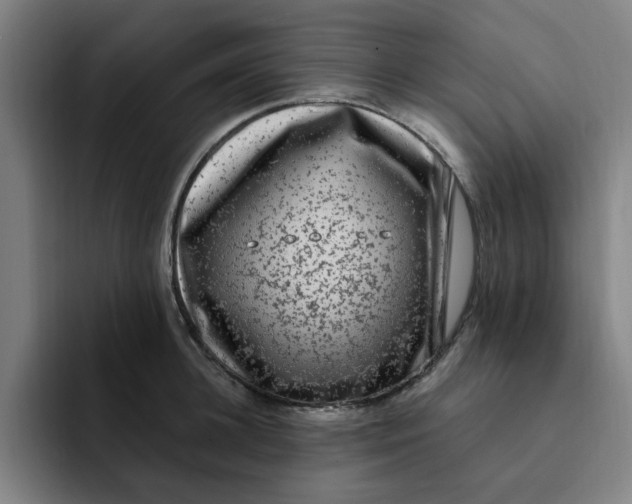 X0000091900948200709261655