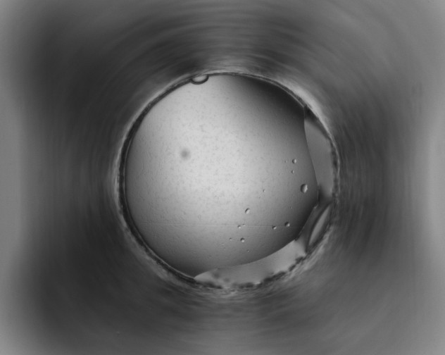 X0000091900949200709261655