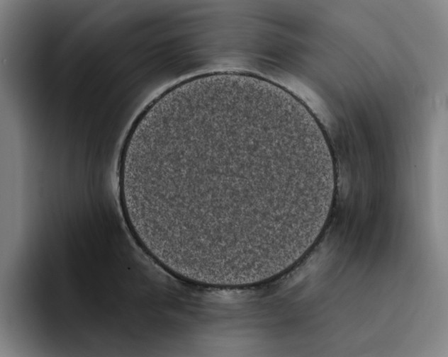 X0000091900950200709261655