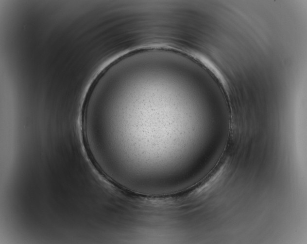 X0000091900951200709261655